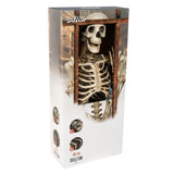 Boland - Skeleton Hanging Decoration - Fancy Dress Central
