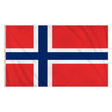 Henbrandt - Norway Flag (5ft x 3ft) - Fancy Dress Central