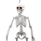 Pose-able Skeleton (60cm) - Party Decoration