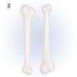 Widmann - Bones Set - Fancy Dress Central