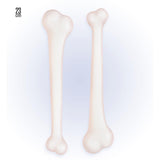 Widmann - Bones Set - Fancy Dress Central