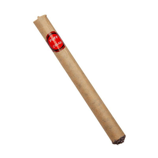Wicked Costumes Ltd - Cigar Costume Prop - Adult - Fancy Dress Central