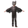 Rubies Toothless Night Fury How to Train Your Dragon Child Fancy Dress Costume