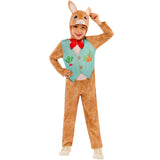 Bunny Rabbit Costume - Child