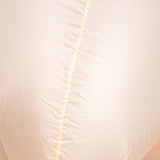 Inflatable Turkey Costume - Adult