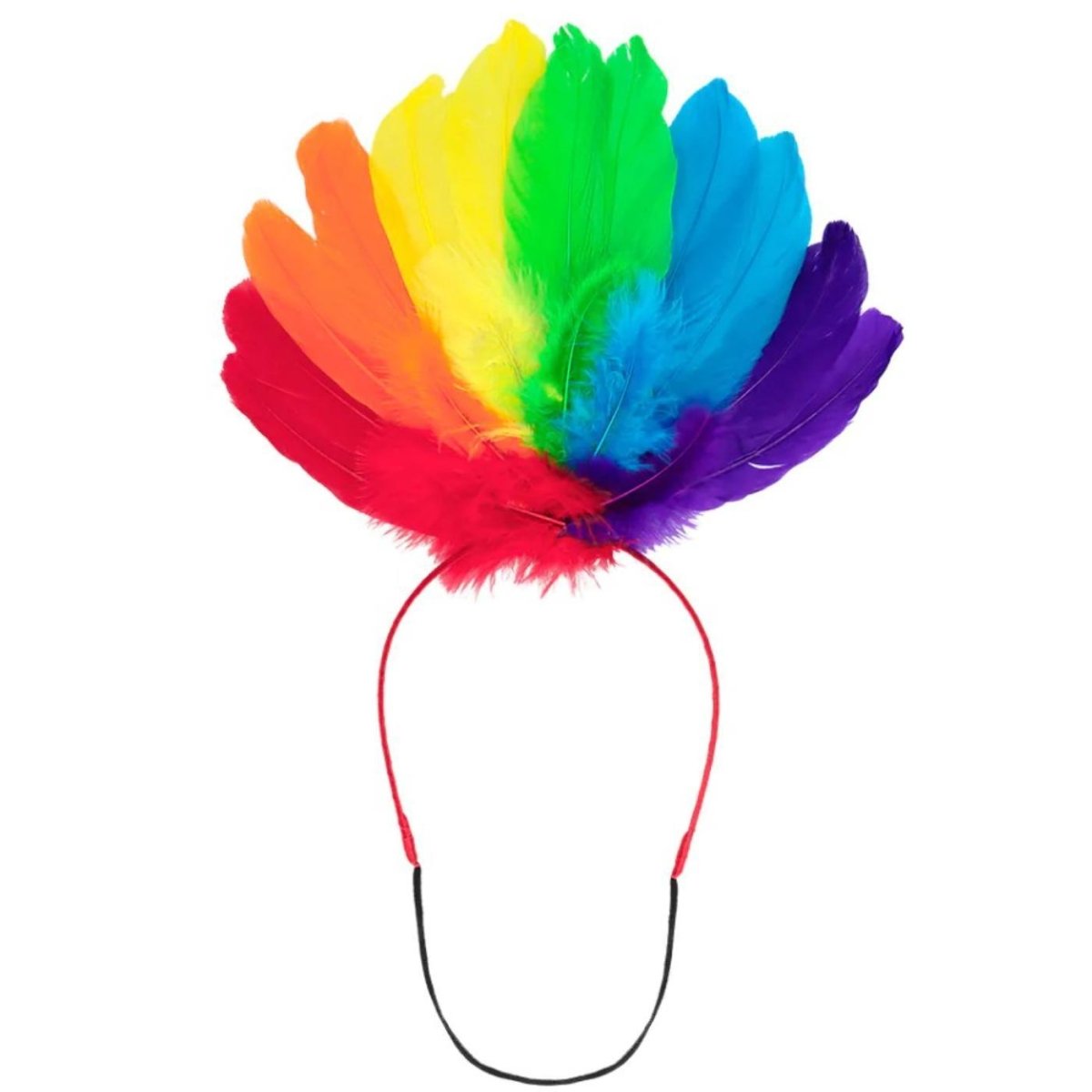Boland - Pride Feathers on a Headband - Adult - Fancy Dress Central