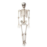 Wicked Costumes Ltd - Pose - able Skeleton (90cm) - Party Decoration - Fancy Dress Central