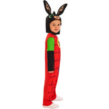 Rubies - Bing Costume - Child - Fancy Dress Central