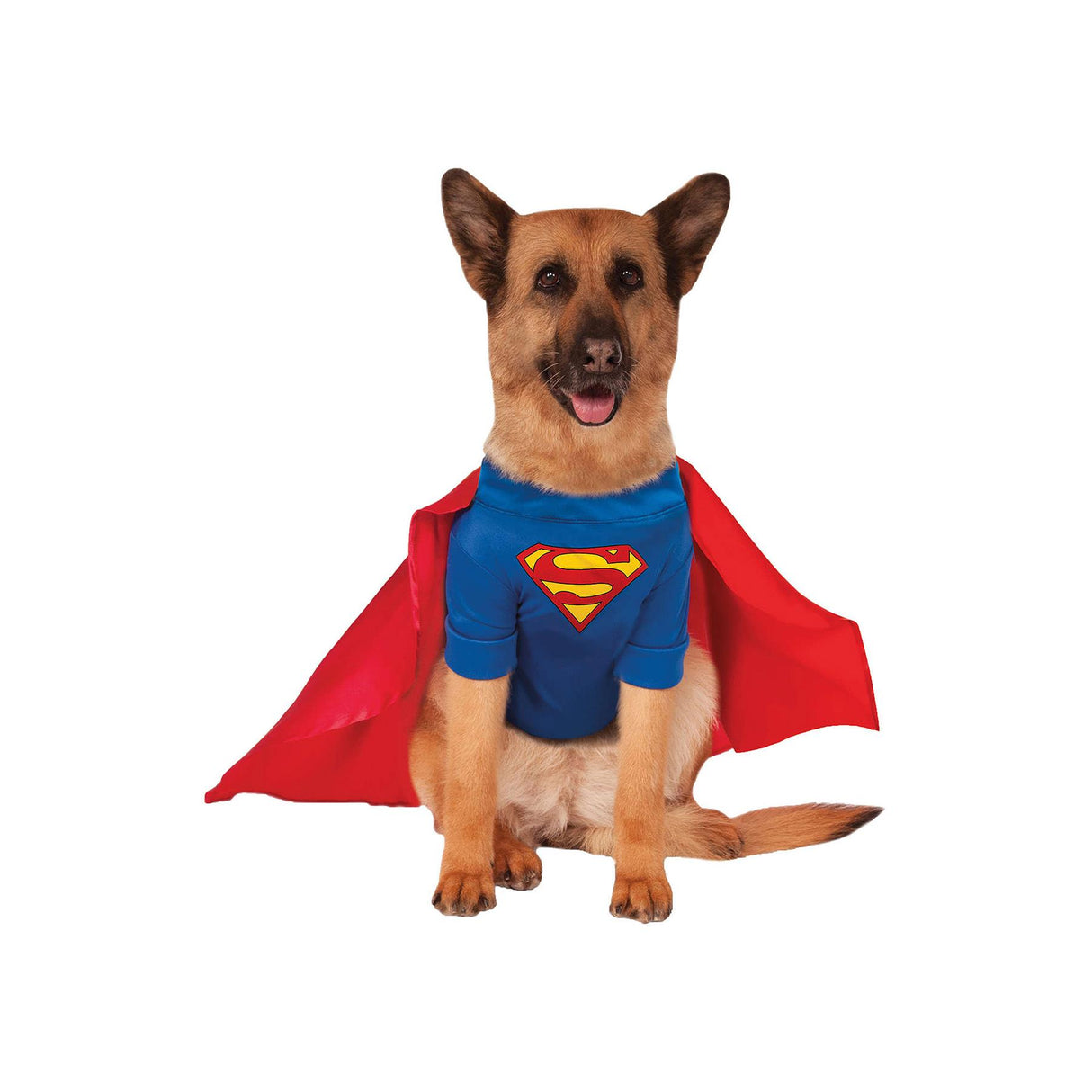 Superman Pet Costume