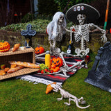 Boland - Skeleton Hanging Decoration - Fancy Dress Central