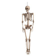Boland - Skeleton Hanging Decoration - Fancy Dress Central