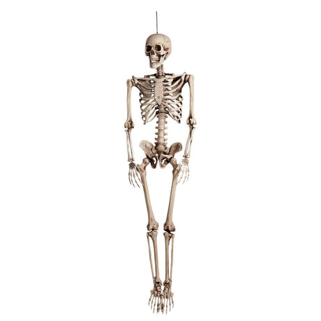Boland - Skeleton Hanging Decoration - Fancy Dress Central