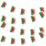 Wicked Costumes - 10m World Country Flag Rectangle Bunting (Wales) - Fancy Dress Central