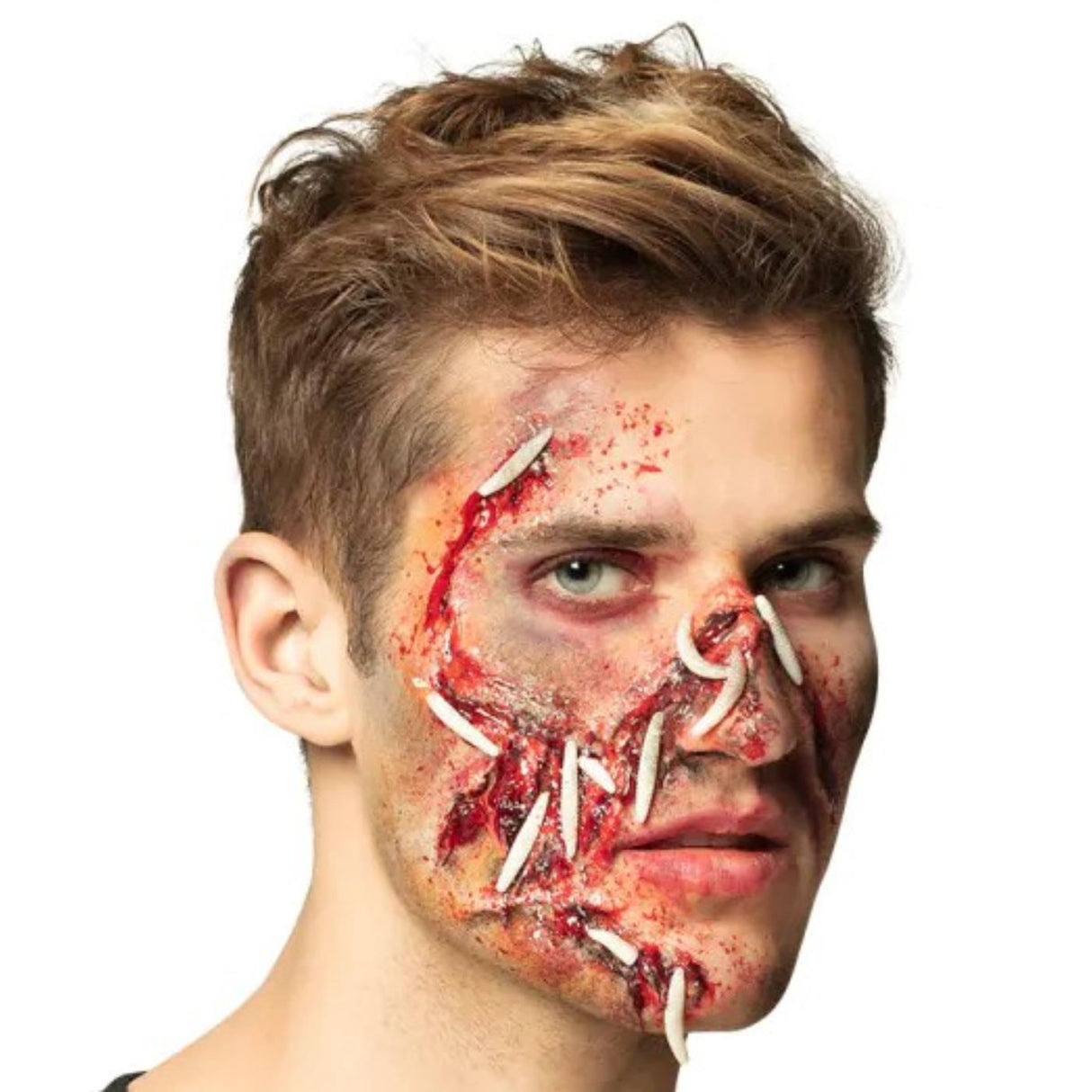 Make Up Kit - Rotting Flesh