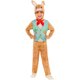Bunny Rabbit Costume - Child