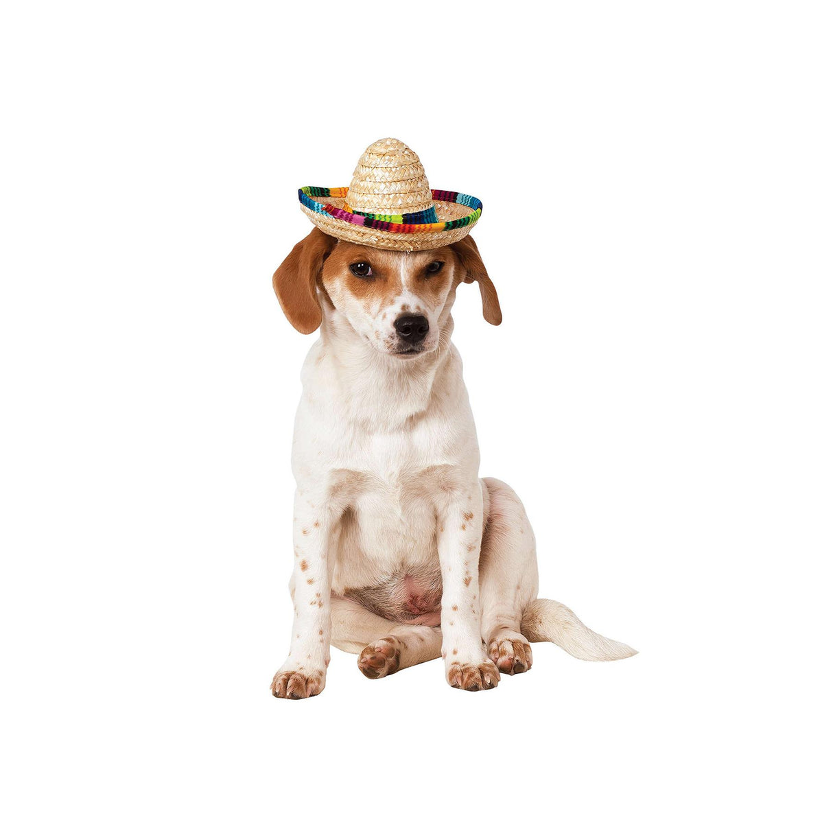 Sombrero Pet Costume
