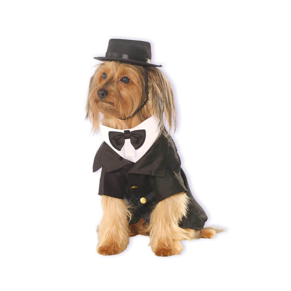 Dapper Pet Costume