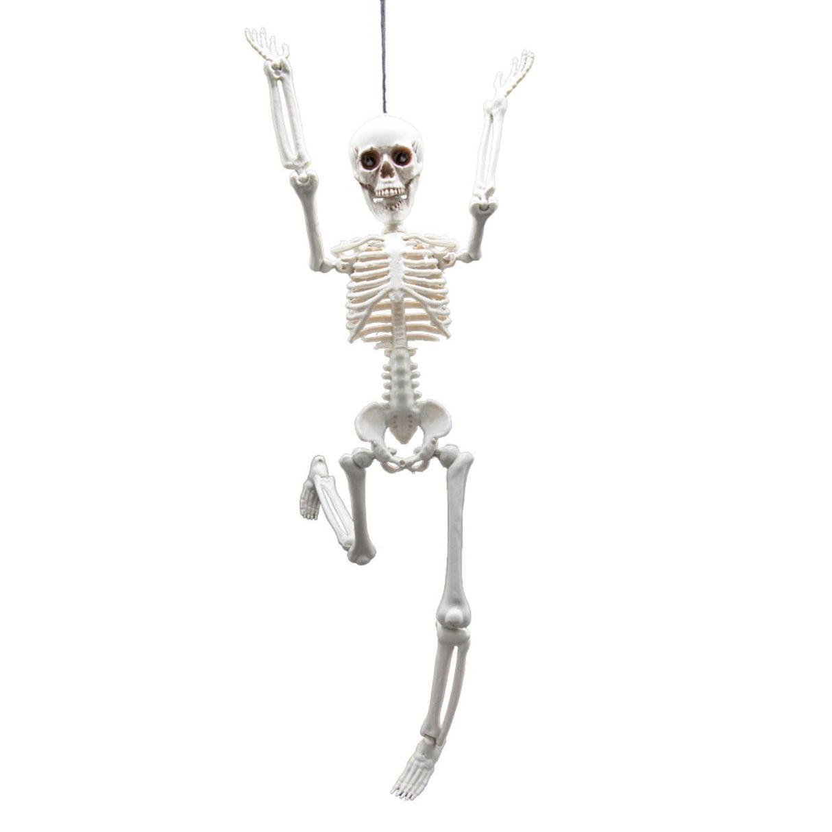 Pose-able Skeleton (40cm) - Party Decoration