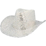 Rodeo Party Cowboy Hat (Silver) - Adult
