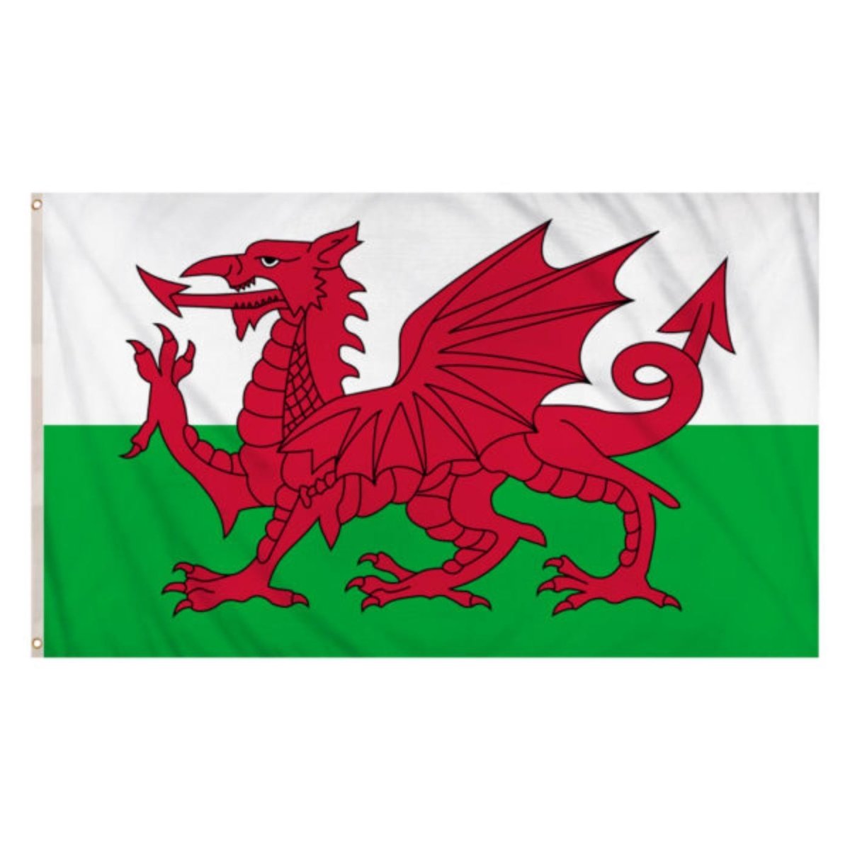 Henbrandt - Wales Flag (5ft x 3ft) - Fancy Dress Central