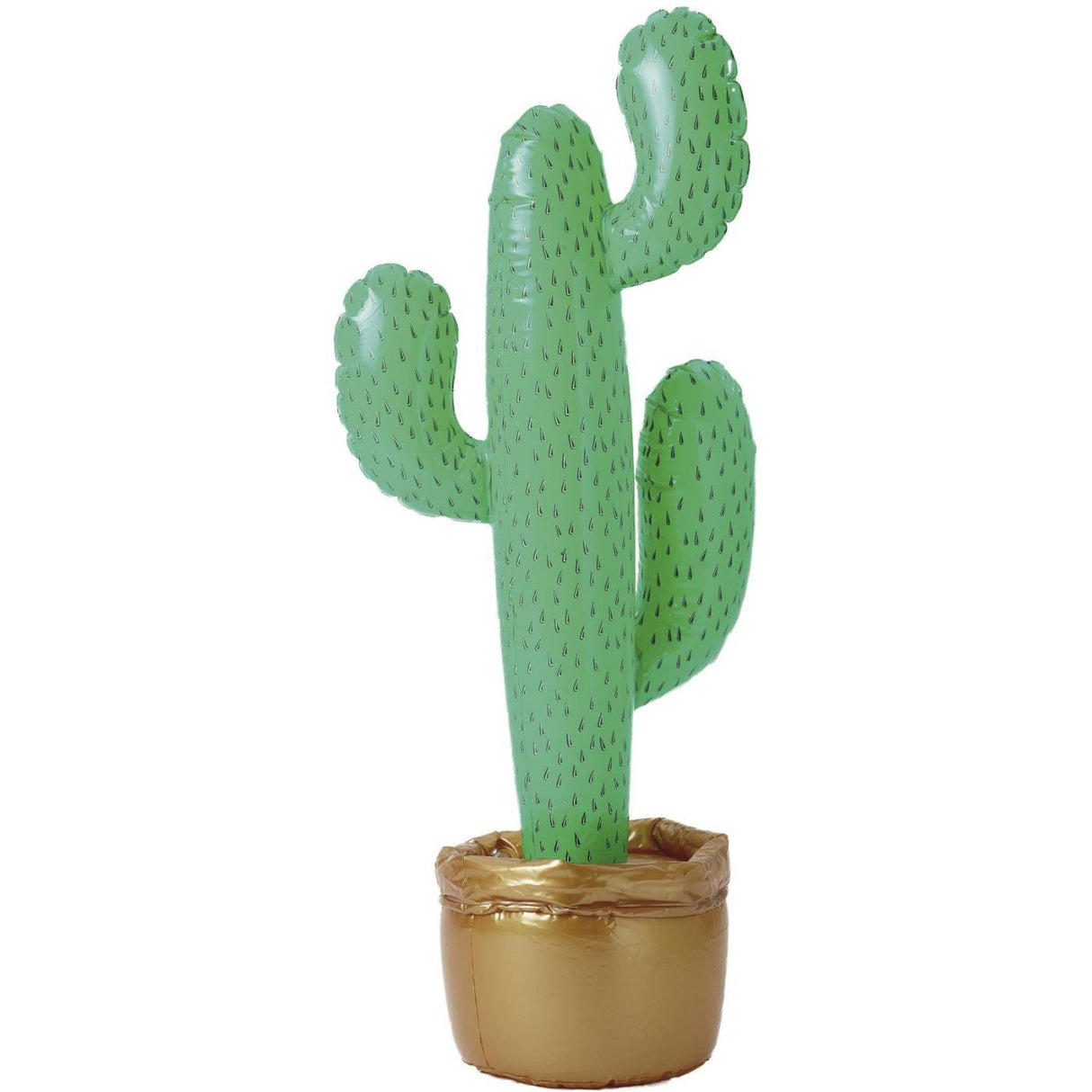 Inflatable Cactus