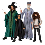 Harry Potter Professors - Family Costume